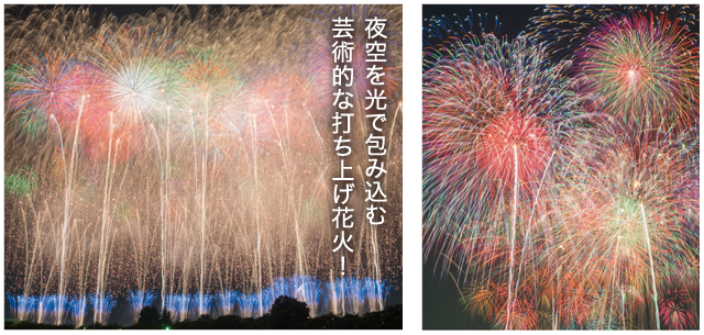 夜空を光で包み込む芸術的な打ち上げ花火！