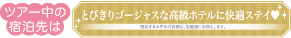 とびきりゴージャスな高級ホテルに快適ステイ♥