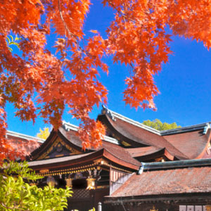 北野天満宮 紅葉の見ごろ 11月25日頃