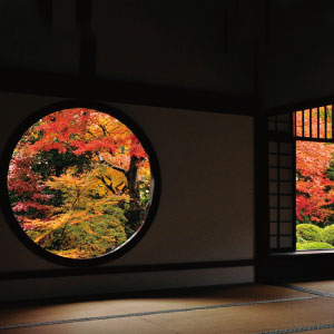 源光庵 紅葉の見ごろ 11月20~30日頃