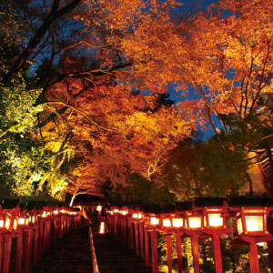 貴船神社 紅葉の見ごろ 11月20日頃