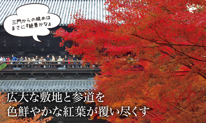 広大な敷地と参道を色鮮やかな紅葉が覆い尽くす - 南禅寺