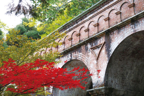 広大な敷地と参道を色鮮やかな紅葉が覆い尽くす - 南禅寺
