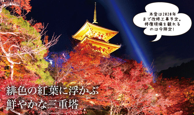 緋色の紅葉に浮かぶ鮮やかな三重塔 - 清水寺