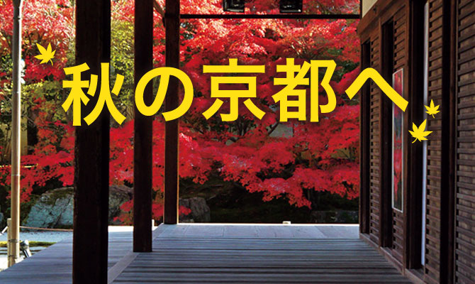 秋の京都へ