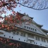 2018年紅葉情報　大阪＆兵庫編