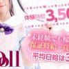 ぬきなしのお仕事! おすすめ風俗店求人はこれ!
