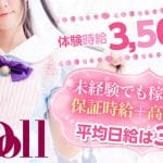 ぬきなしのお仕事! おすすめ風俗店求人はこれ!