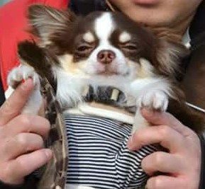れお店長さん