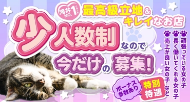 るい猫 料亭