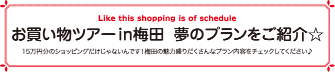 梅田お買い物ツアーin梅田 夢のプランをご紹介☆