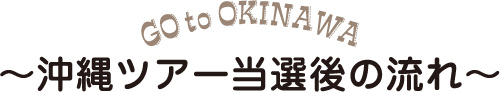 沖縄ツアー当選後の流れ
