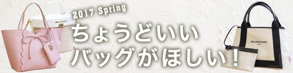 ちょうどいいバッグがほしい！