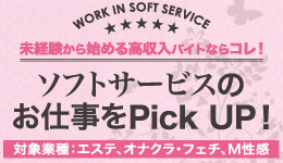 ソフトサービスのお仕事をPick UP！