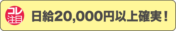 日給20,000円以上確実！