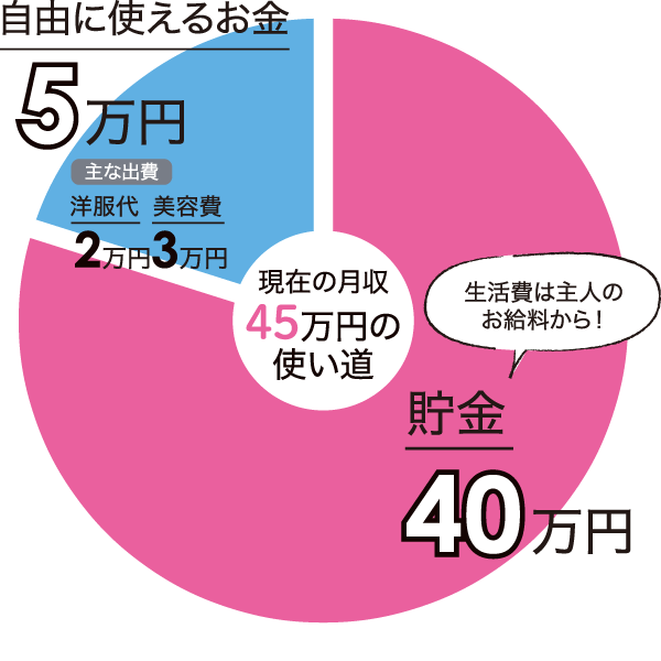 現在の月収 45万円の使い道
