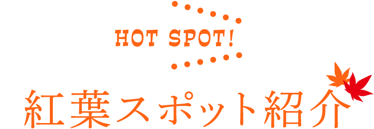 HOT SPOT！紅葉スポット紹介