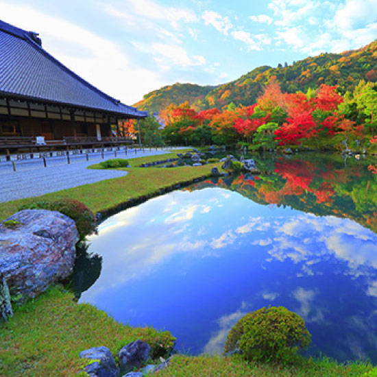 天龍寺 例年の見ごろ：11月中旬～12月上旬